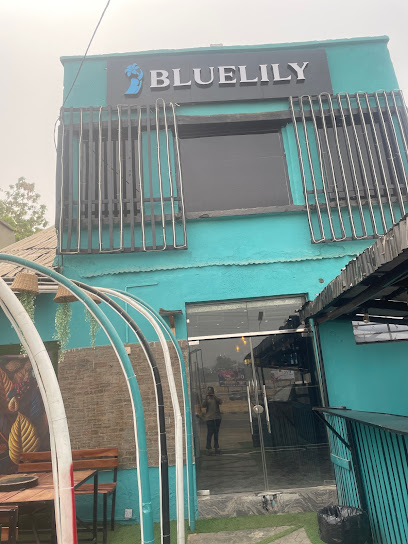 BLUE LILY RESTAURANT restaurant in Kwara