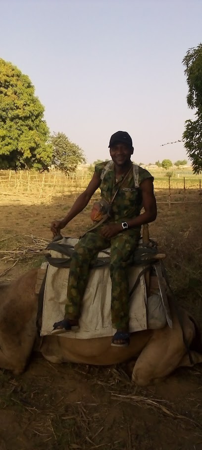 City Cyber Cafe restaurant in Zamfara