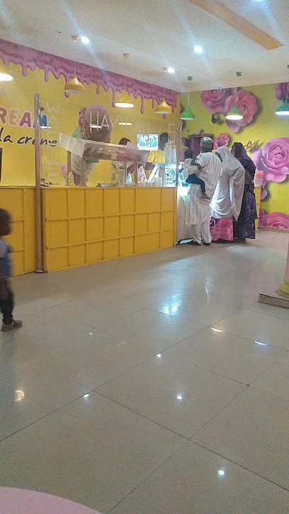 Havilah Ice cream restaurant in Kebbi