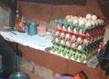 Shamsiya Food Restaurant restaurant photo 3 showing dining area and food