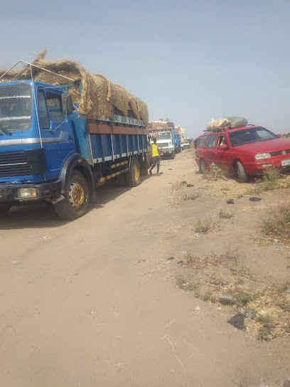 Silva Joint restaurant in Borno
